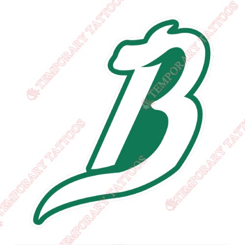 Reynosa Broncos Customize Temporary Tattoos Stickers NO.8057